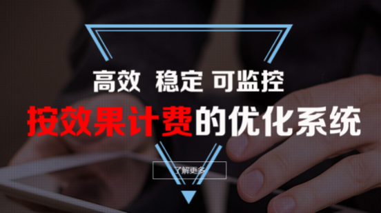 网站关键词推广方案-按效果按天收费