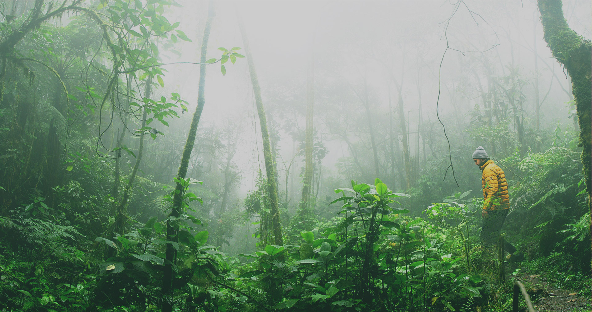 紫薰堂（海南）生物科技有限公司 官网