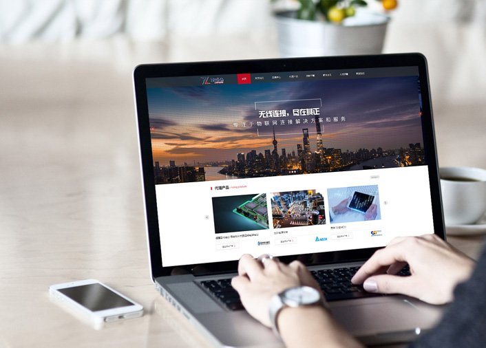 海南其正信息科技有限公司  官网