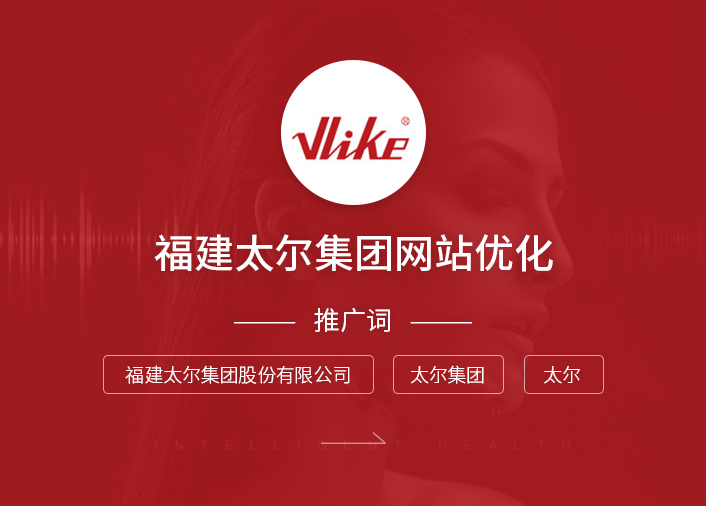 福建太尔集团网站优化